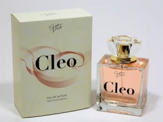 Chat Dor CLEO-Inspirováno vůní CHLOÉ CHLOÉ, dámská parfémová voda 100ml,inspirováno vůní Chloe